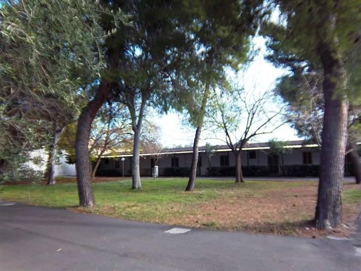 Viola Club Village & Camping Foce Varano Exterior photo