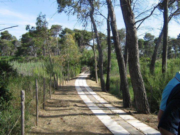 Viola Club Village & Camping Foce Varano Exterior photo